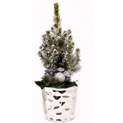 Arvore de Natal - PX02 - A 30-35 cm